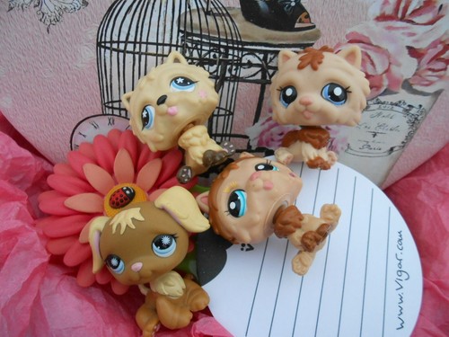 Lot petshop asbro 4 - lot,