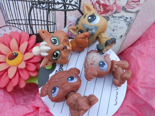 Lot petshop asbro - ,