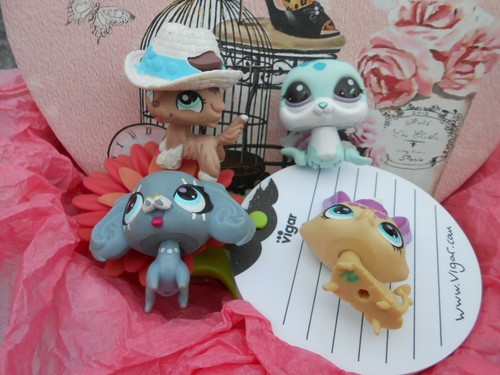 Lot petshop asbro 4 - lot,