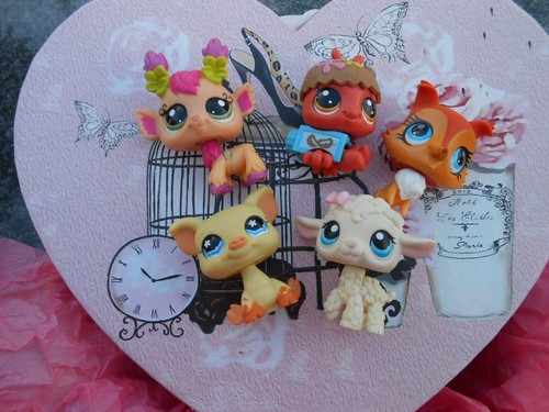 Lot petshop asbro - ,
